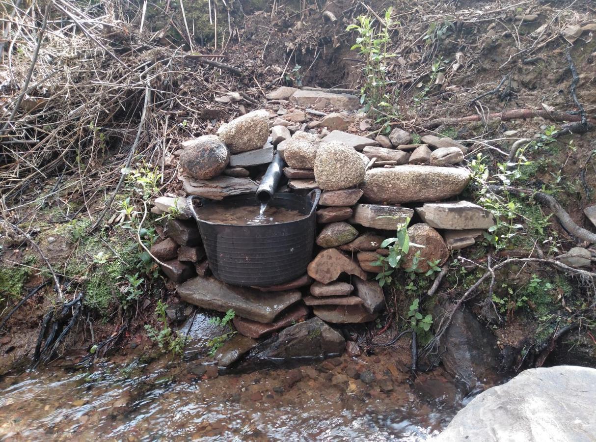 Casa Rural El Arroyo Sotoserrano Eksteriør billede