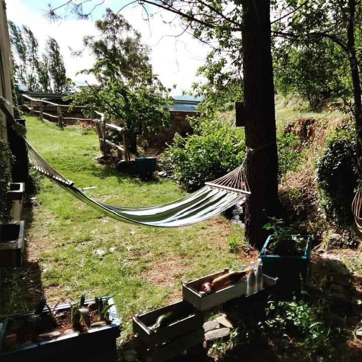 Casa Rural El Arroyo Sotoserrano Eksteriør billede