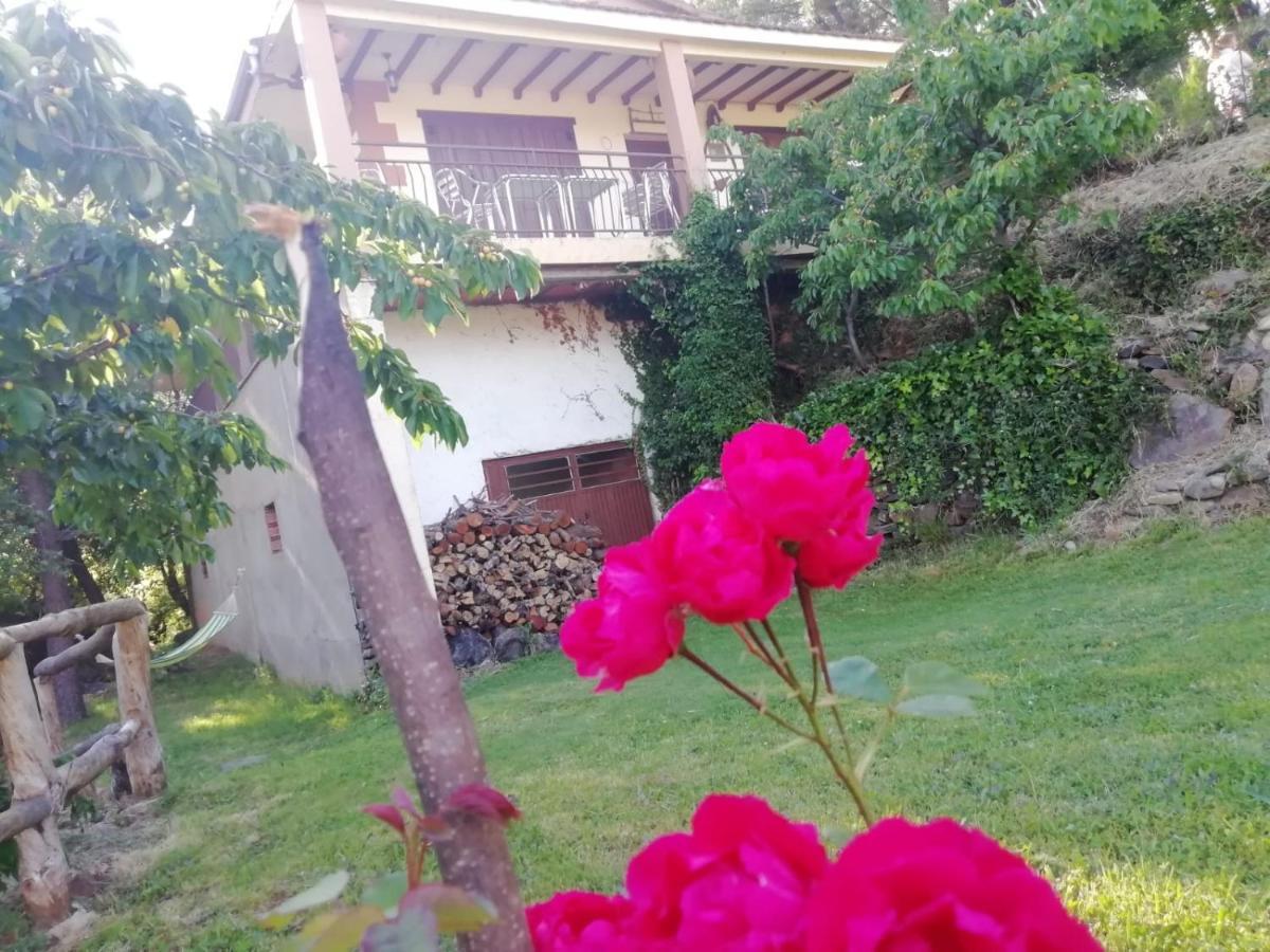 Casa Rural El Arroyo Sotoserrano Eksteriør billede